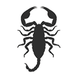 Scorpion control services with Rentokil in Las Vegas and Henderson NV